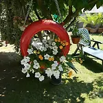 Il Melograno Da Pina