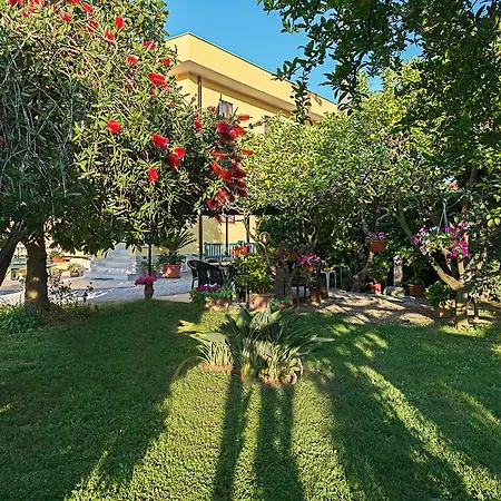 فندق مبيت وإفطار Il Melograno Da Pina 3*